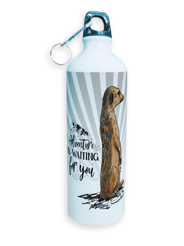 Sipper Water Bottle | High Quality Sports Metal & Lightweight | Dog Lover
